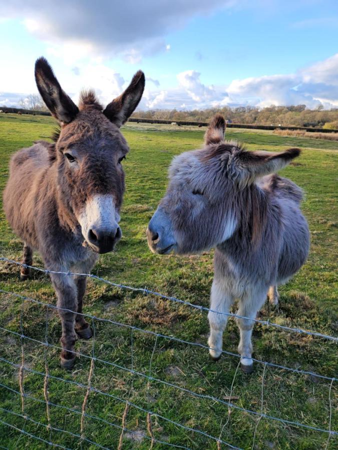 Hideaway Escapes, Farmhouse B&B & Holiday Home, Ideal Family Stay Or Romantic Break, Friendly Animals On Our Smallholding In Beautiful Pembrokeshire Setting Close To Narberth Exterior foto